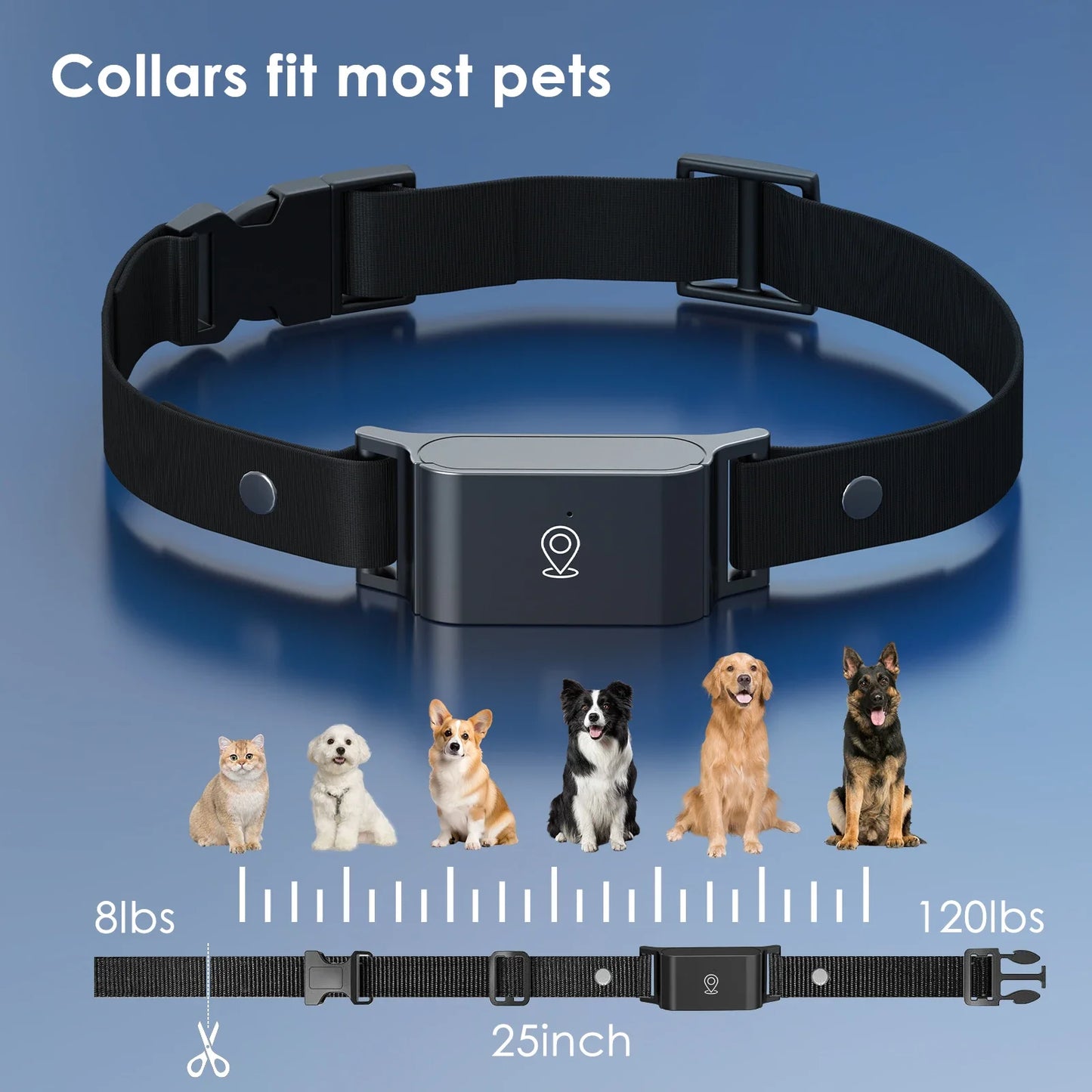 Collar GPS 4G resistente al agua – Rastreo en tiempo real para perros y gatos